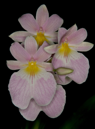 IMG_3511